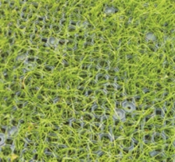 Dopadová deska Grass (1m x 1m)